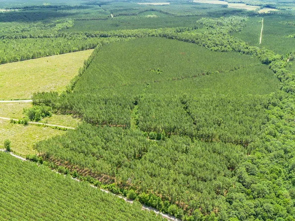 Tract F Ten Acre Rd., Andrews, SC 29510
