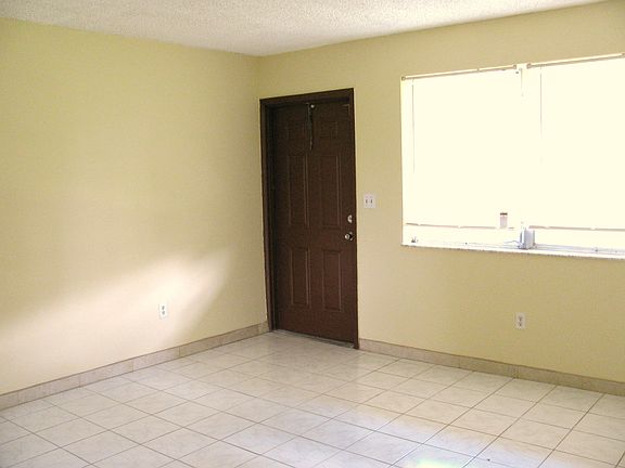 Living room and entrance