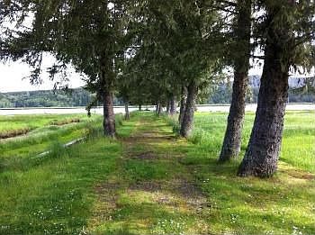 2nd image of 3299 Alsea Hwy