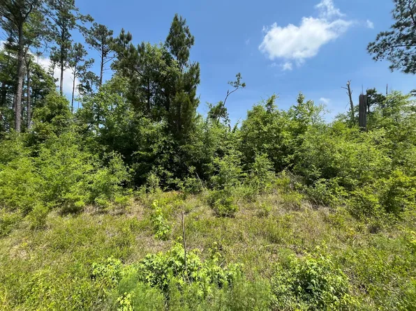 Tbd Grand Quiviera Circle, Alford, FL 32420