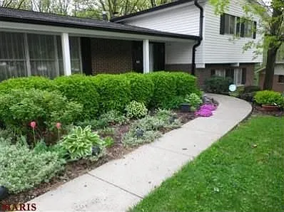 11134 Leisure Ln photo 1