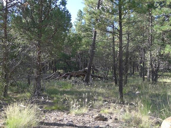 2nd image of 289 Gold Mine Dr