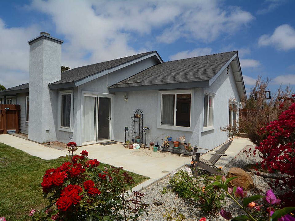 Rear View - House
