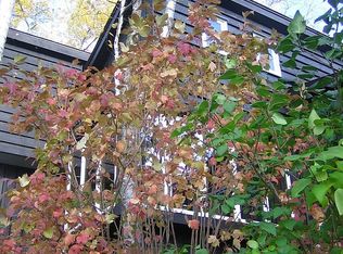 41 Devil Point Rd, Grand Marais, MN 55604