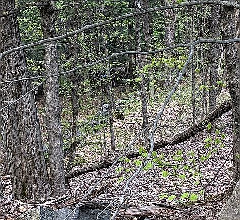 May -in ground septic here