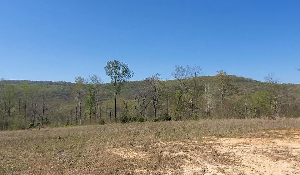 2nd image of LOT 7 Bear Hollow Ln