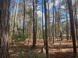 Dehayville Dr, Pinopolis, SC 29469