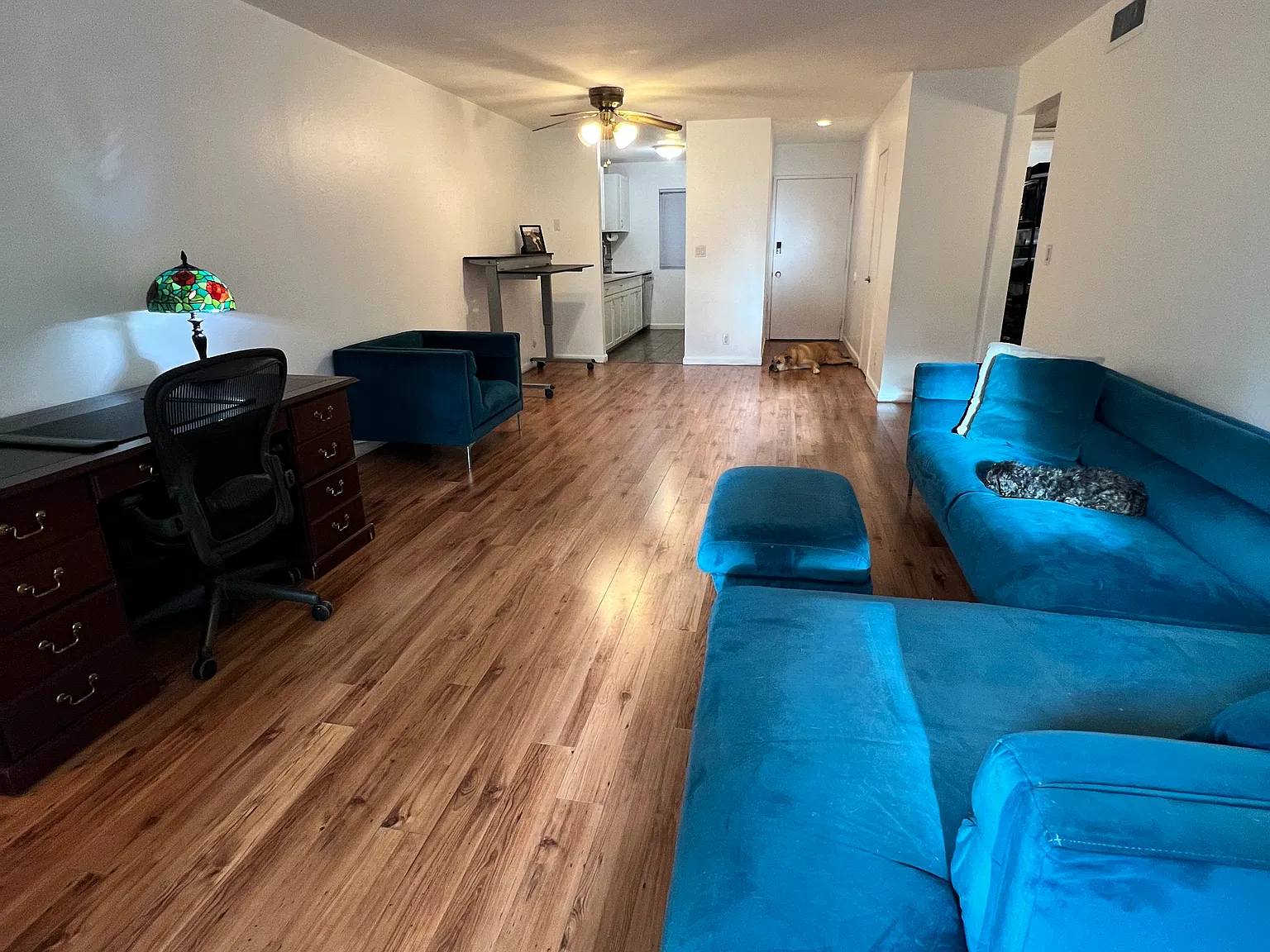 2 bed, 884 sqft, $2,900 — Photo 1
