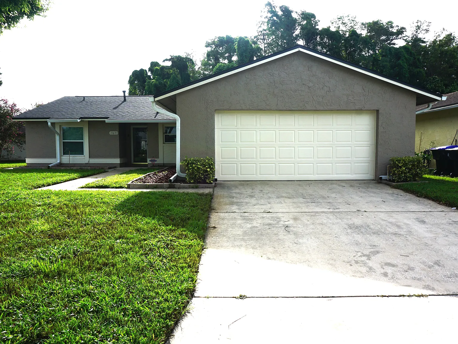10603 Leafy Way — Photo 1