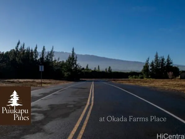 64-6102 Okada Farms Pl, Kamuela, HI 96743