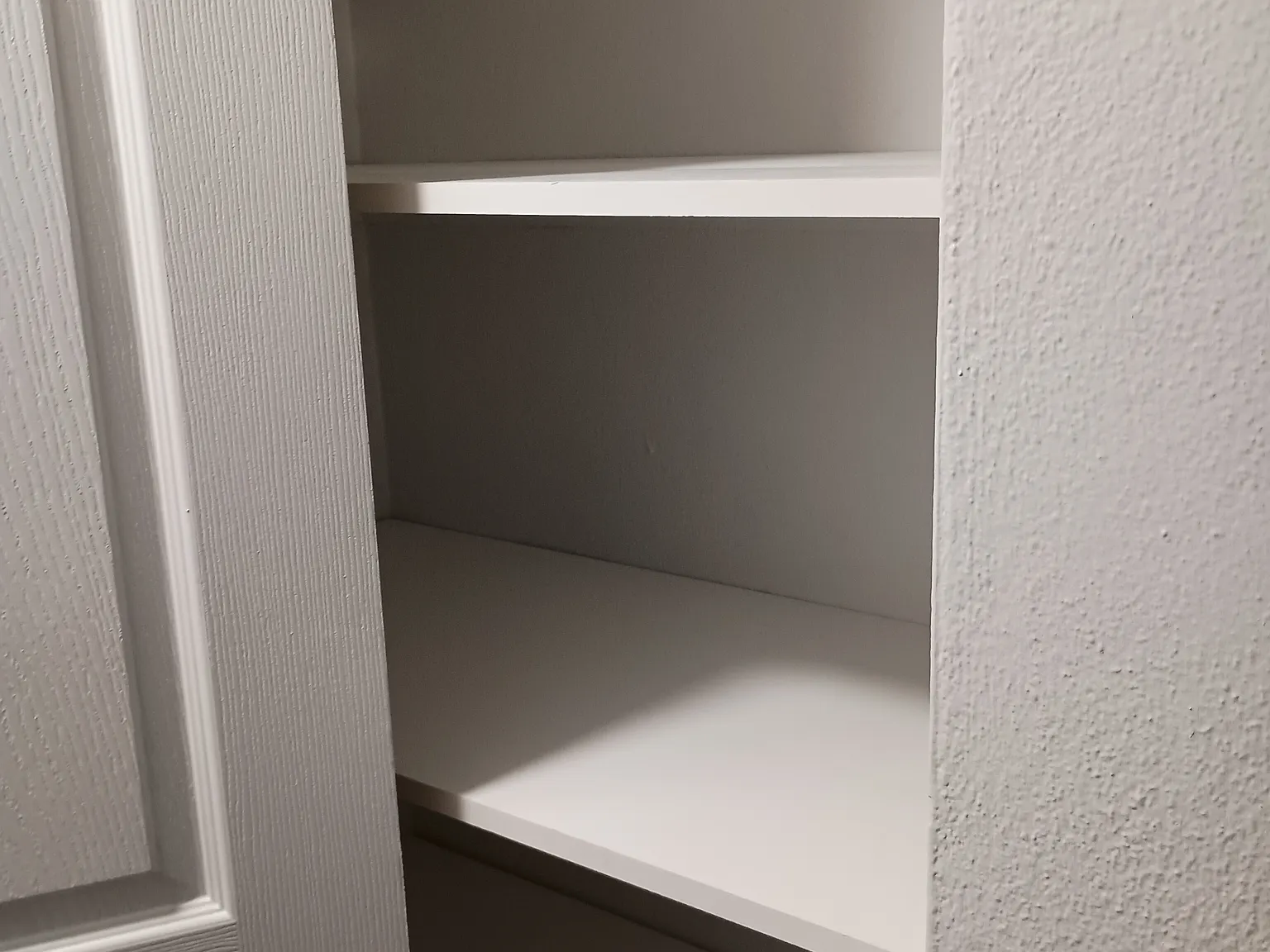 2 bed, 1000 sqft, $1,350 — Photo 3