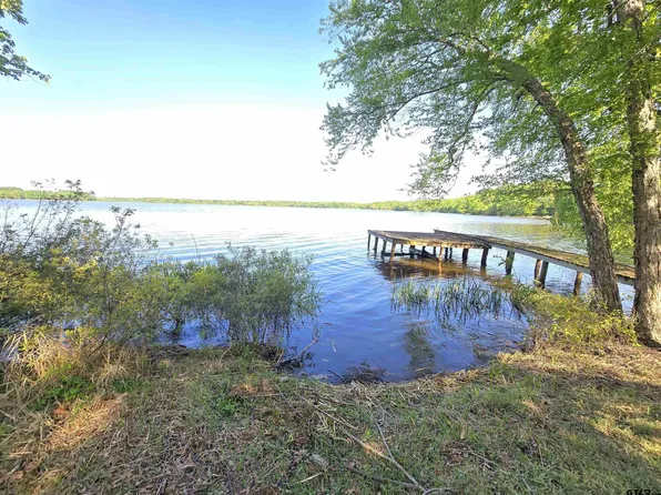 2466 County Road 3412, Chandler, TX 75758