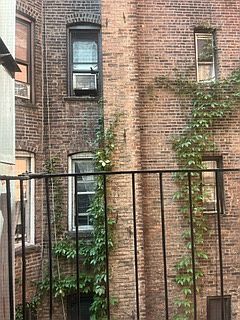5th image of 1829 2nd Ave APT 5