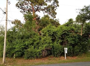 672 Hickory Ave, Orange City, FL 32763