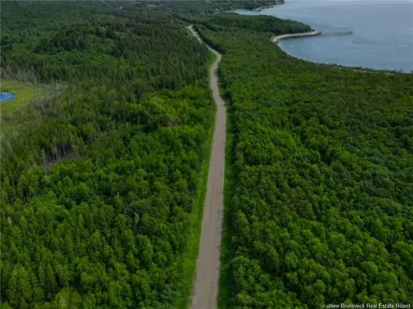 321 Fundy Dr, Campobello Island, NB E5E 1X1