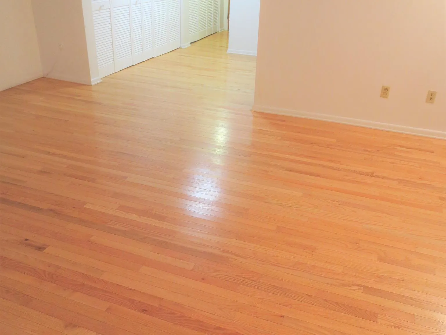 6350 Forward Avenue — Photo 4