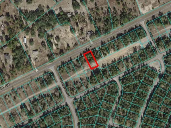 SE 113th Street Rd Lot 17, Ocklawaha, FL 32179