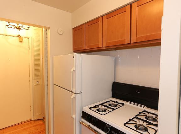 4th image of 510 W Briar Pl APT 307