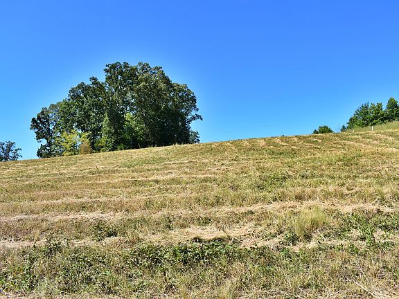 3rd image of 1336 & 138 Scenic Lakeview Dr