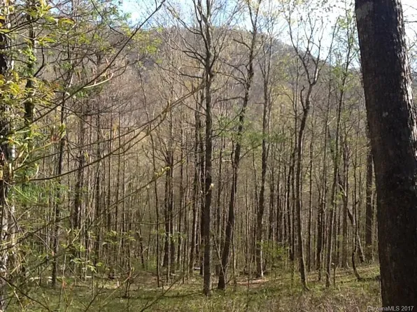 114A Chimney Ridge Trl, Waynesville, NC 28786