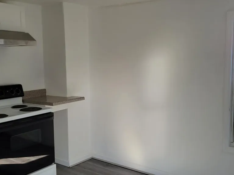 213 Spring St #2 — Photo 11