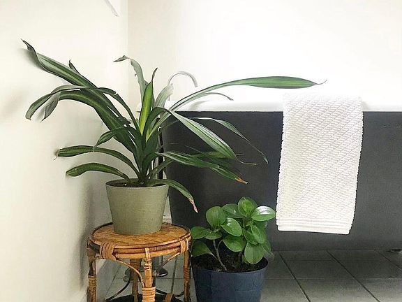 Second Floor Bathroom (includes clawfoot tub and shower)