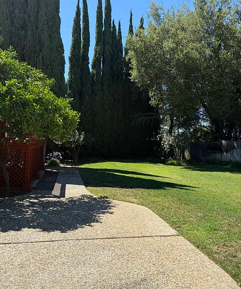 Left side of backyard