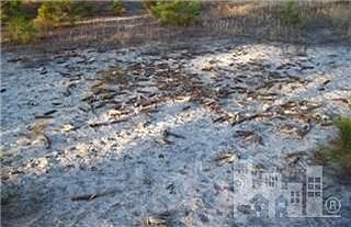 2nd image of 0 E Highway 53