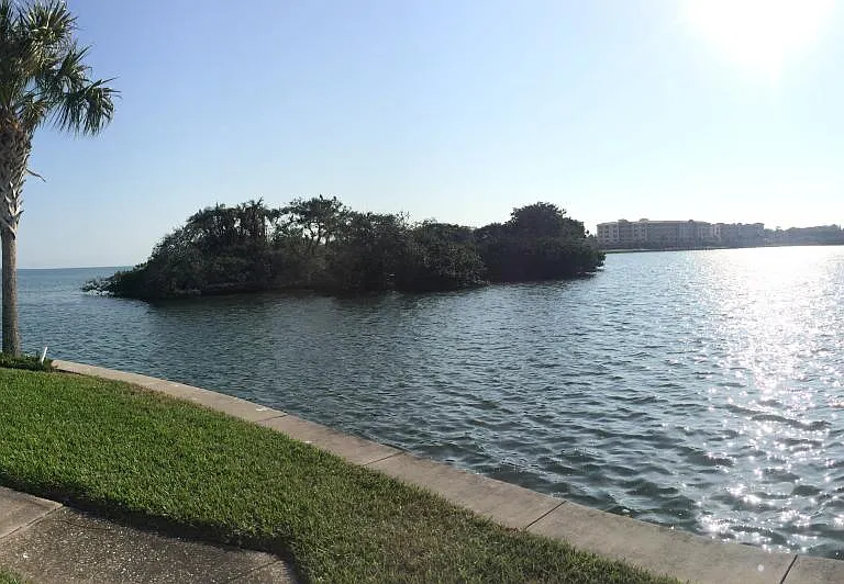View from walking by the sea wall