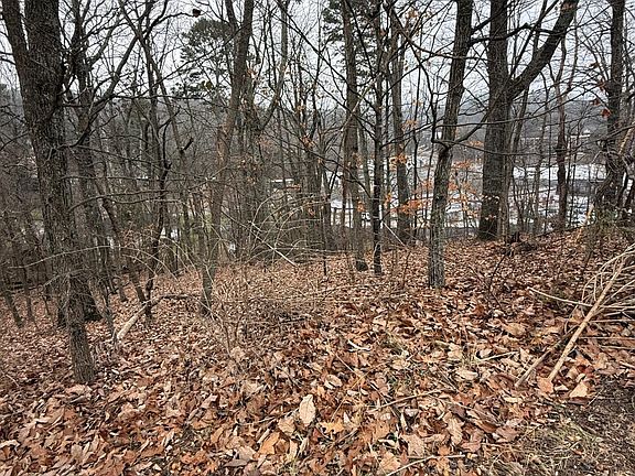 2nd image of 0 Wynnwood Rd