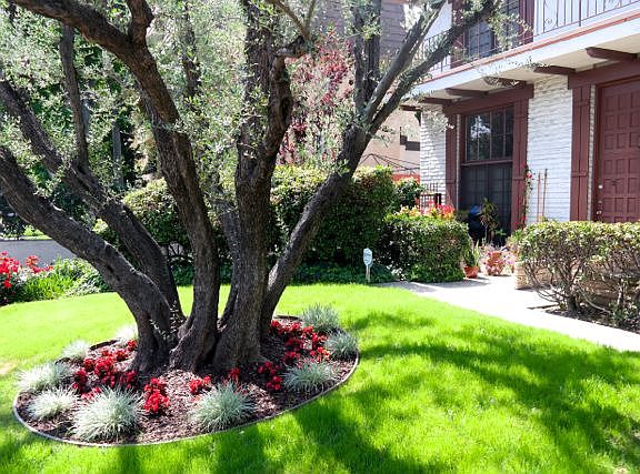 3rd image of 5229 Balboa Blvd Unit 37