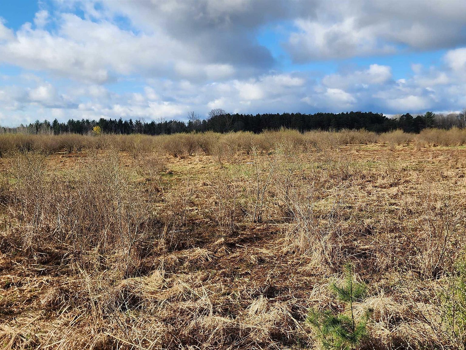 0 W Main St, Twining, MI 48766 MLS 1921346 Zillow