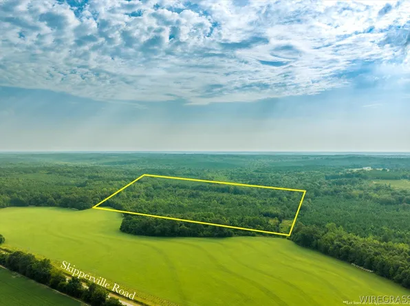 0 Highway 105, Skipperville, AL 36374