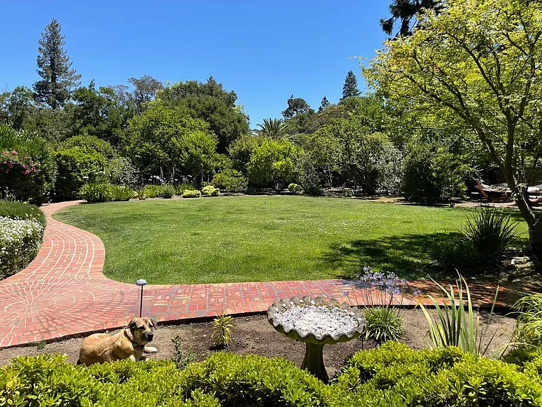 Palmer Ln — Photo 13