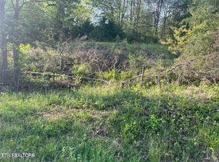 Vardy Blackwater Rd, Sneedville, TN 37869