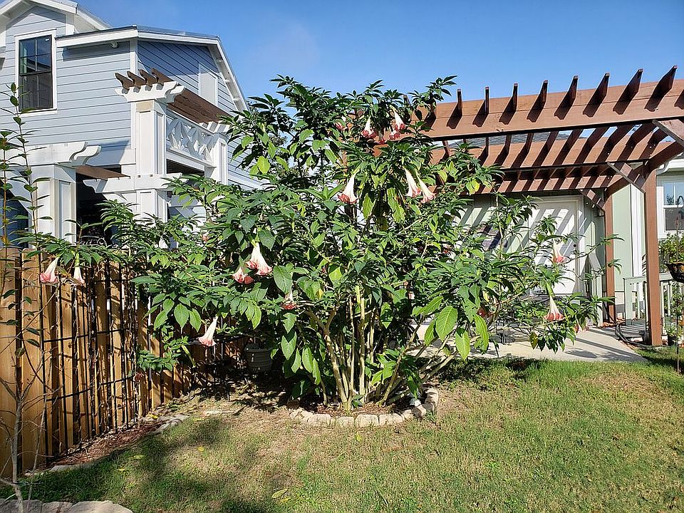 2nd image of 1103 E La Rua St