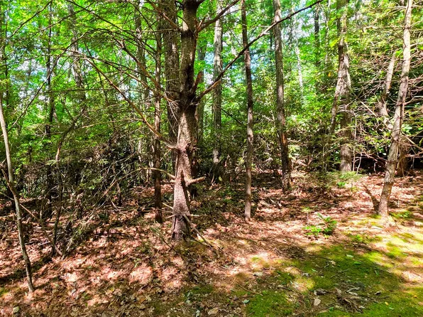 Lt 108 Black Oak Drive, Sapphire, NC 28774