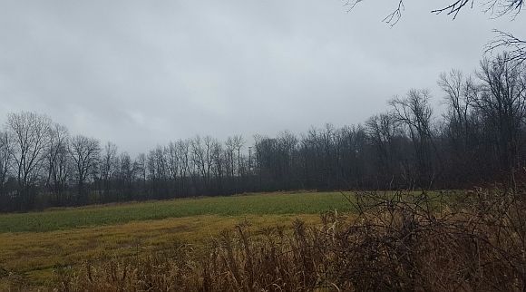 2nd image of W5961 Woodland Rd