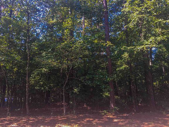 3rd image of LOT 22 Sugar Creek Rd N