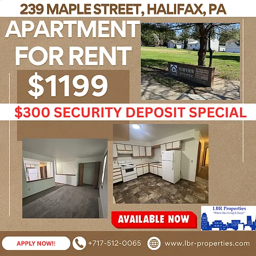 239 Maple St #231 Photo 1 239 Maple St #231 Photo 1