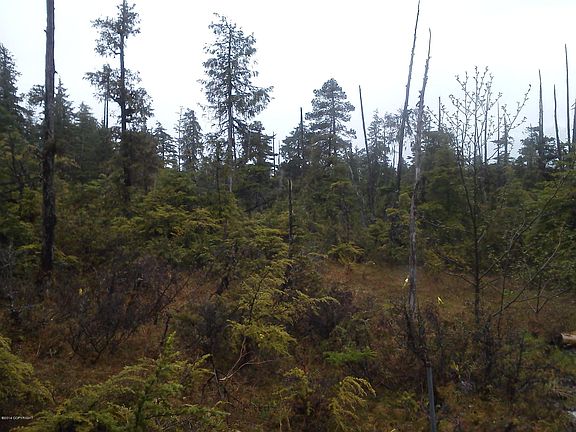 2nd image of 415 Mitkof Hwy