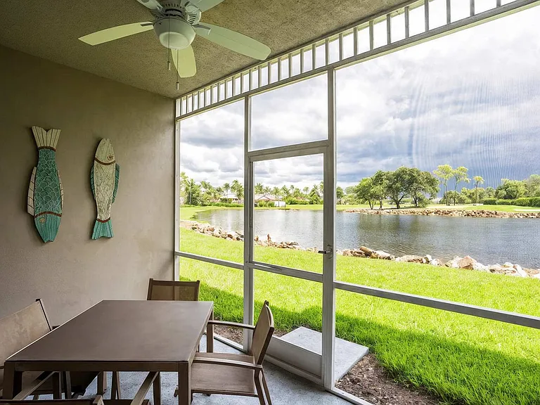 Window View