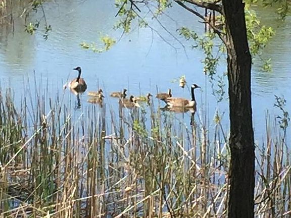 Nature at your doorstep