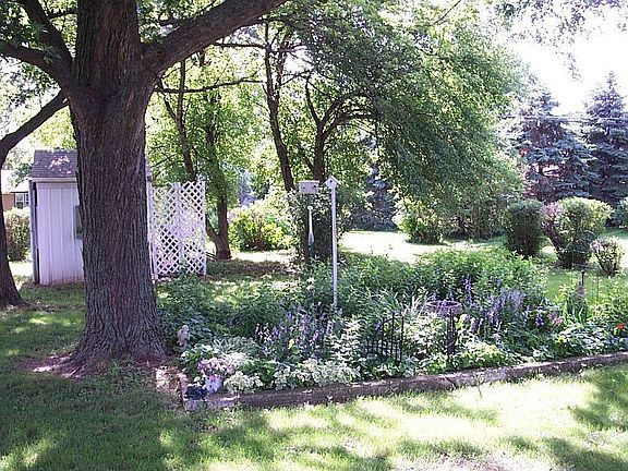 Beautiful Garden