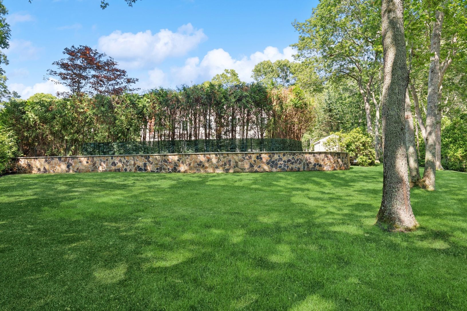  View of back yard
