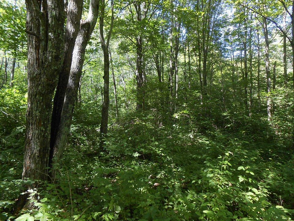 Green Creek Rd, Kennan, WI 54537 Zillow