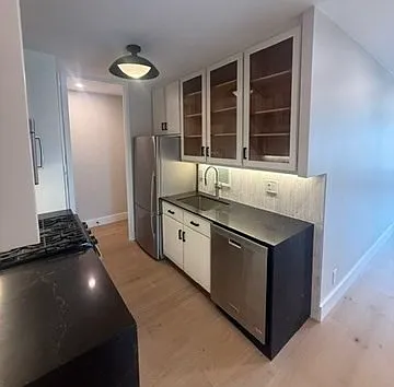 65 E India Row #10G — Photo 3