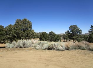 1225 Bonita Vista Ct, Big Bear City, CA 92314