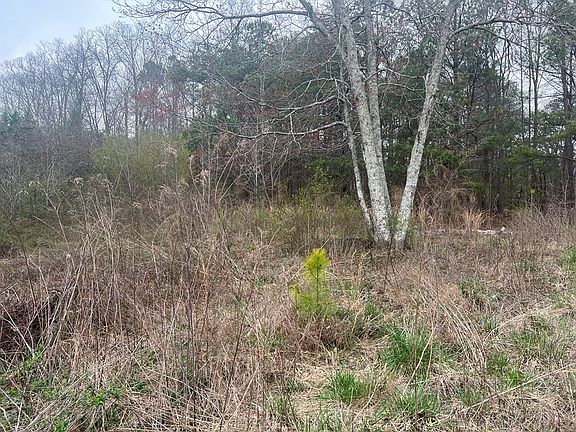 5th image of 1240 Derby Dr Lot 62