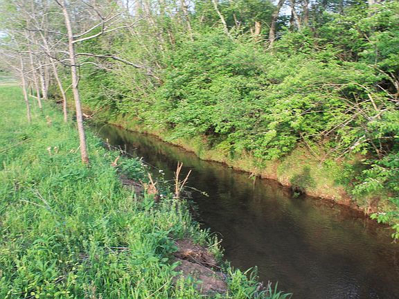 3rd image of 6 Roddy Branch Rd #6